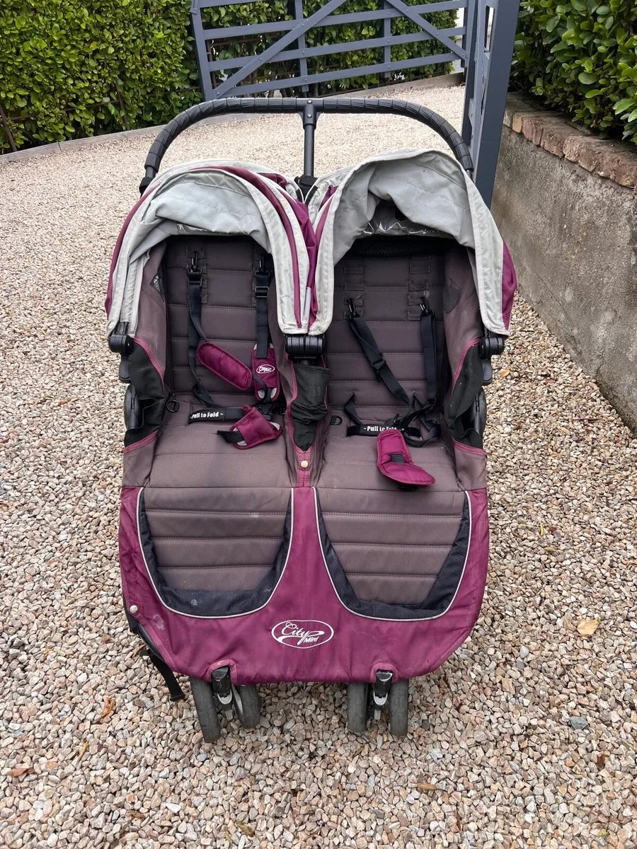 Buggy - Image 1