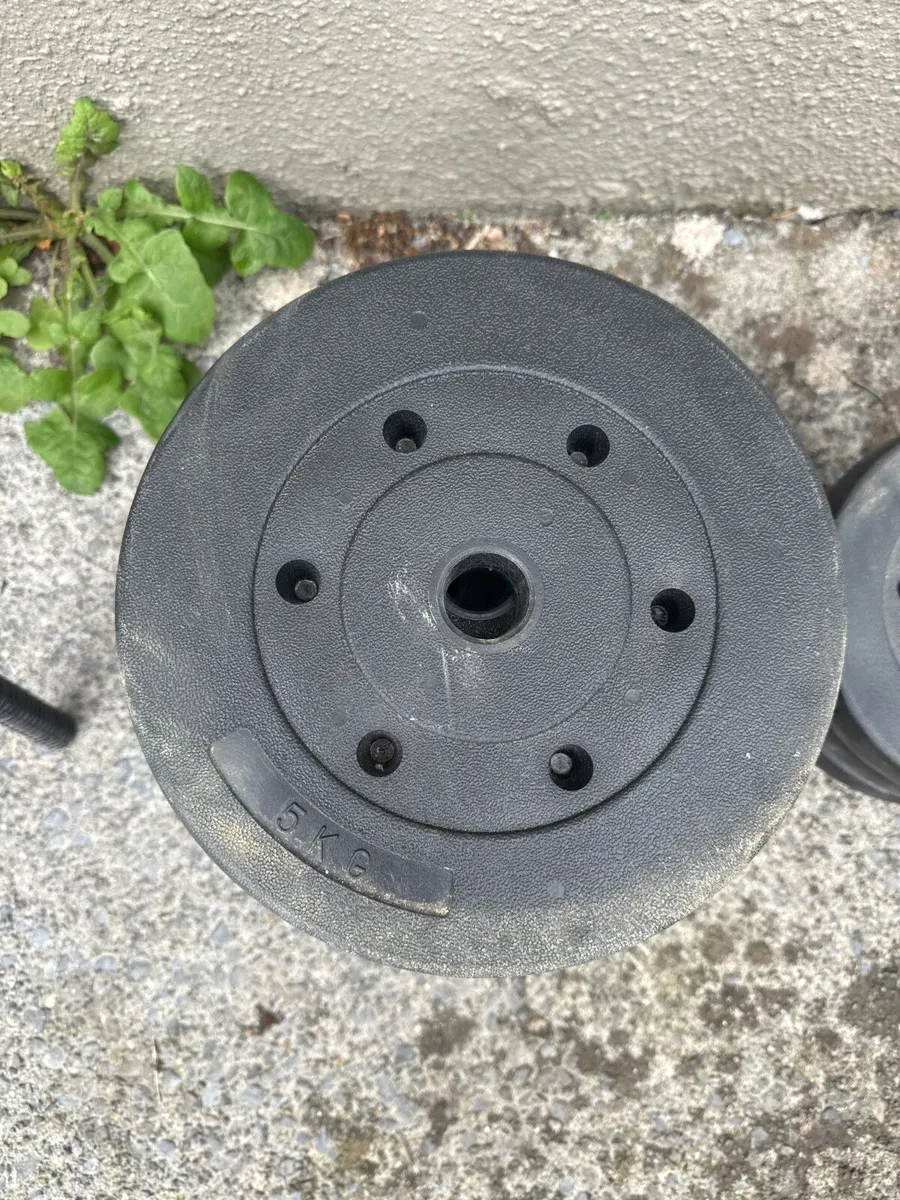Barbell and Weights - Image 2
