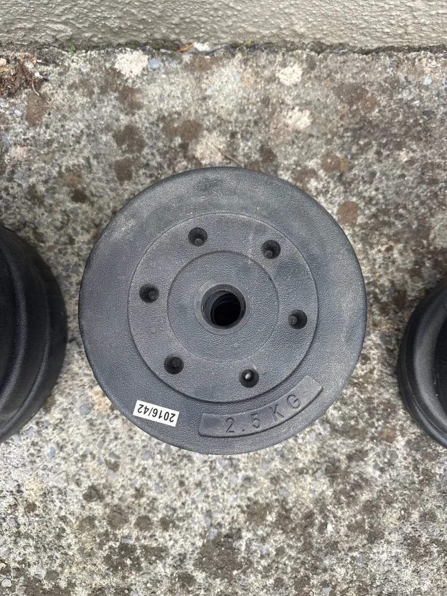 Barbell and Weights - Image 3