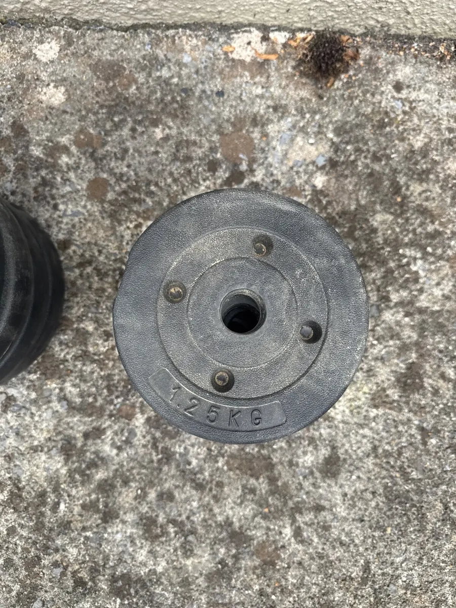 Barbell and Weights - Image 4