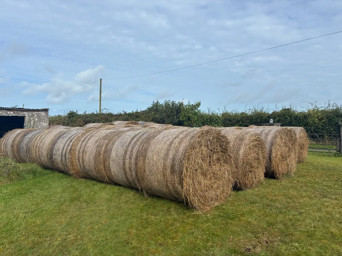 Hay/bedding