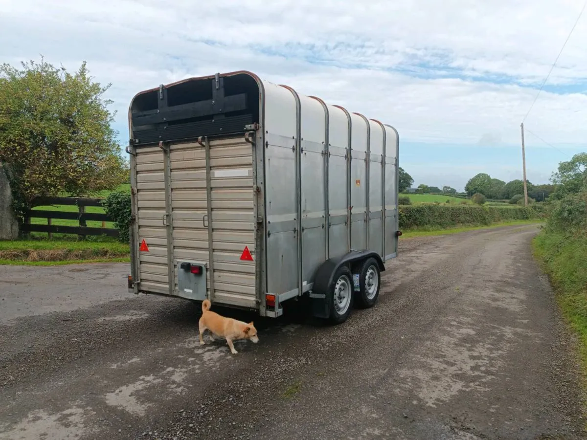 Ifor williams high roof livestock trailer. - Image 2