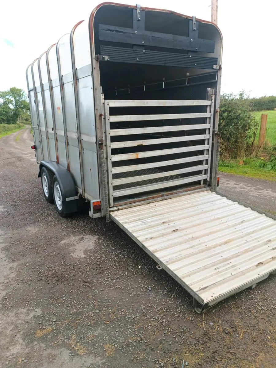 Ifor williams high roof livestock trailer. - Image 4
