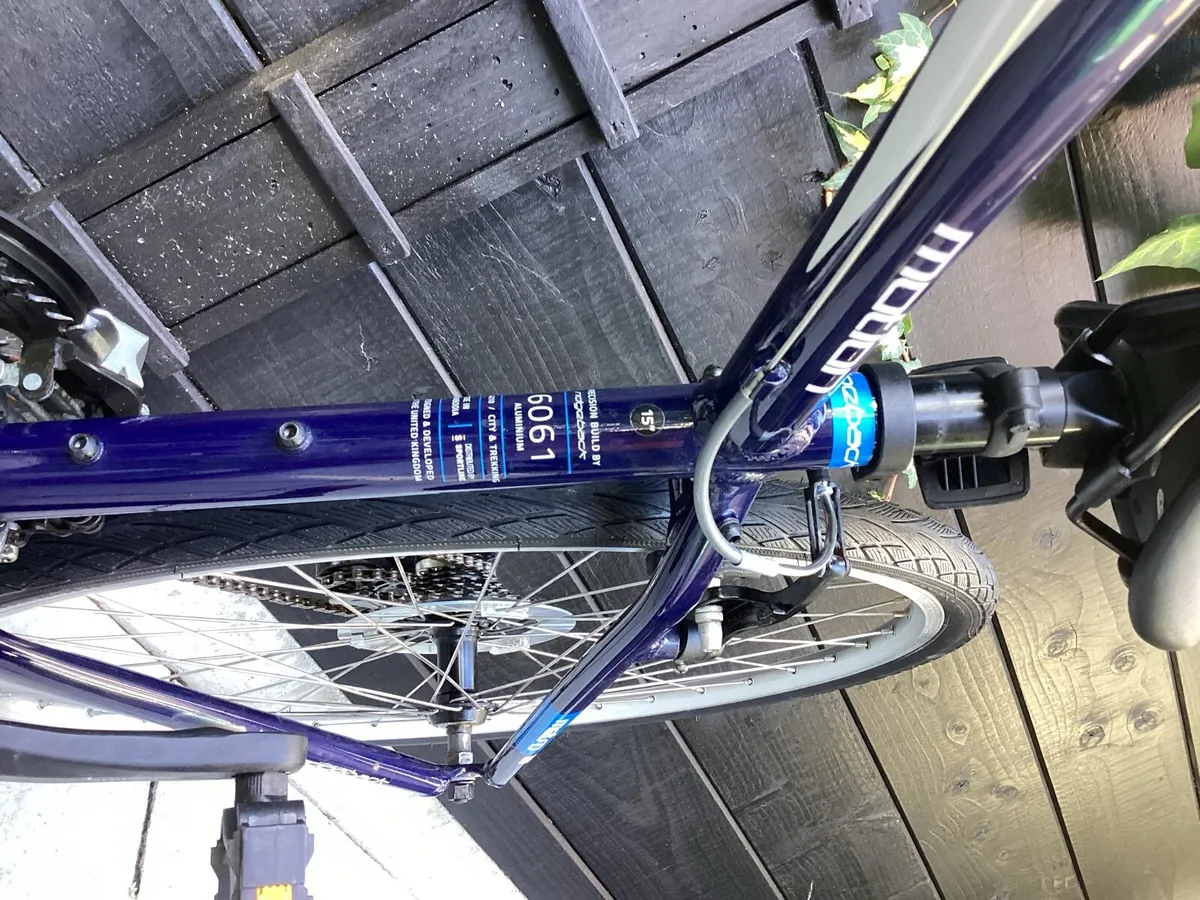 SHOWROOM CONDITION RIDGEBACK - Image 3