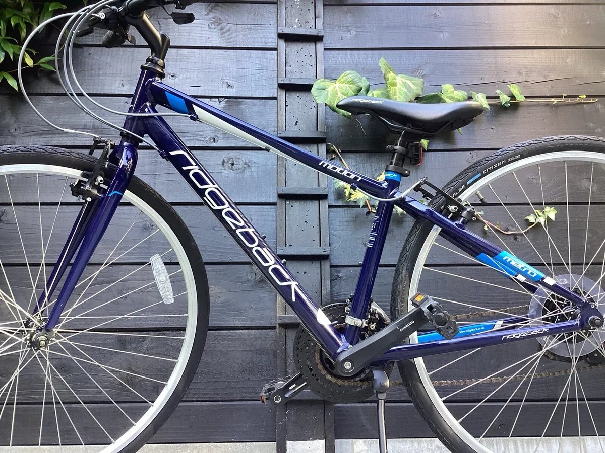 SHOWROOM CONDITION RIDGEBACK - Image 4