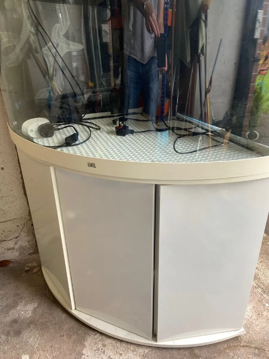 Premium Juwel Trigon 190 Aquarium Setup - Image 1