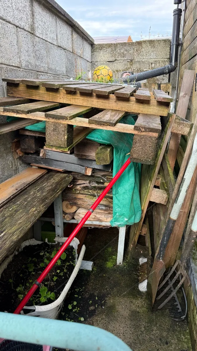Pallets & Firewood - Image 1
