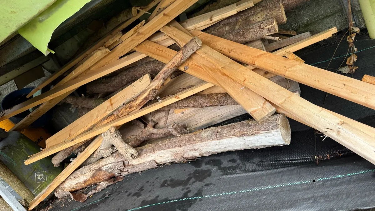 Pallets & Firewood - Image 2