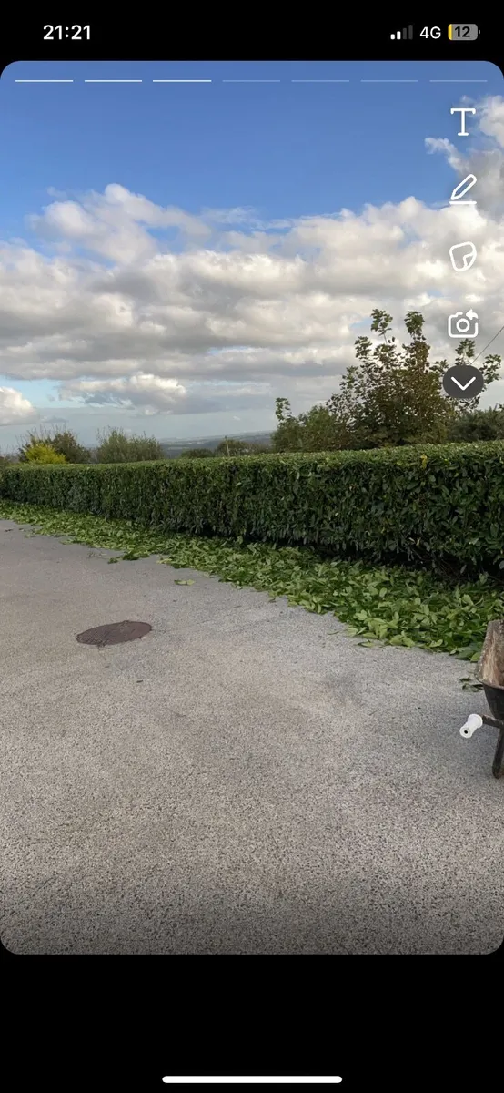 Power washing hedge cutting weed spraying - Image 2