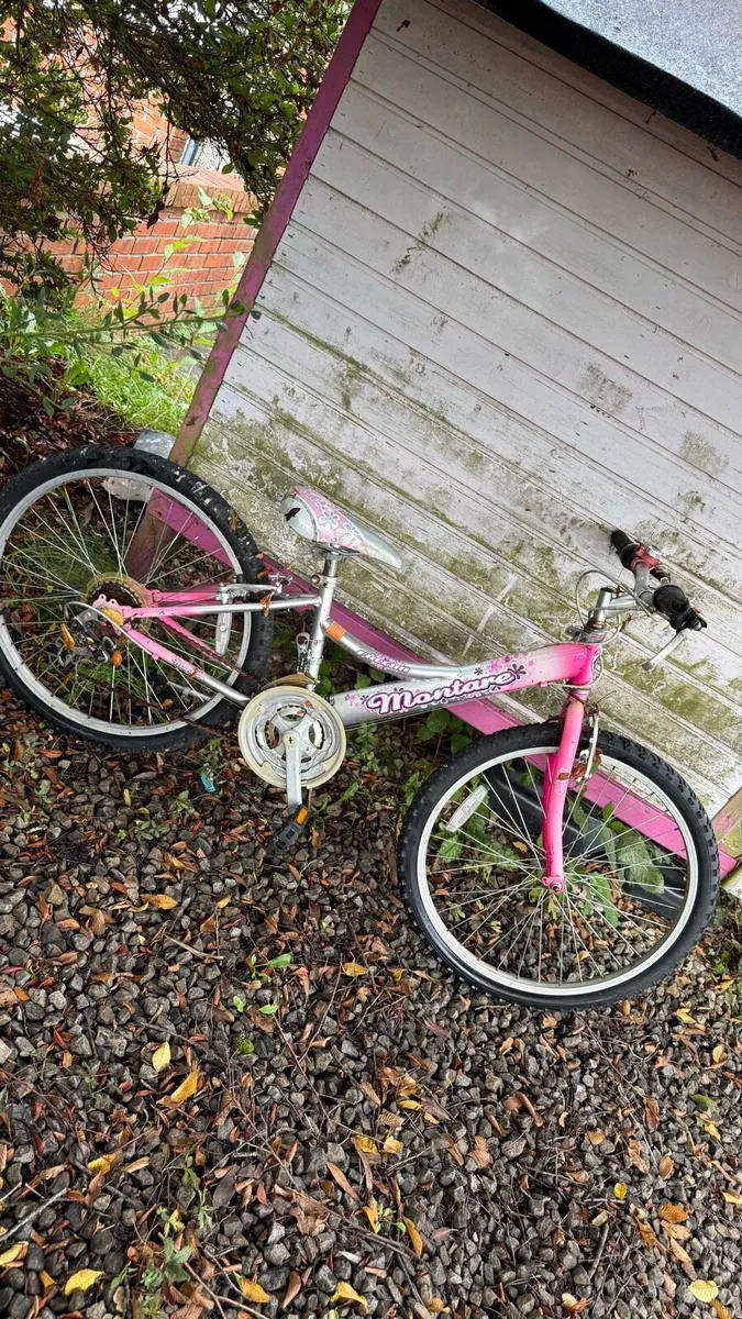 Girls Bike - Image 1