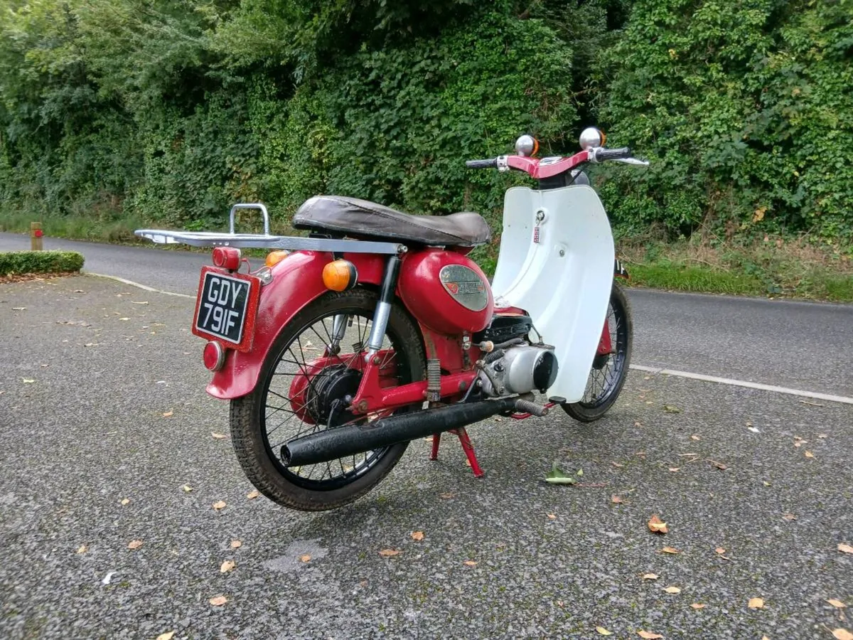 Suzuxi c50 - Image 3