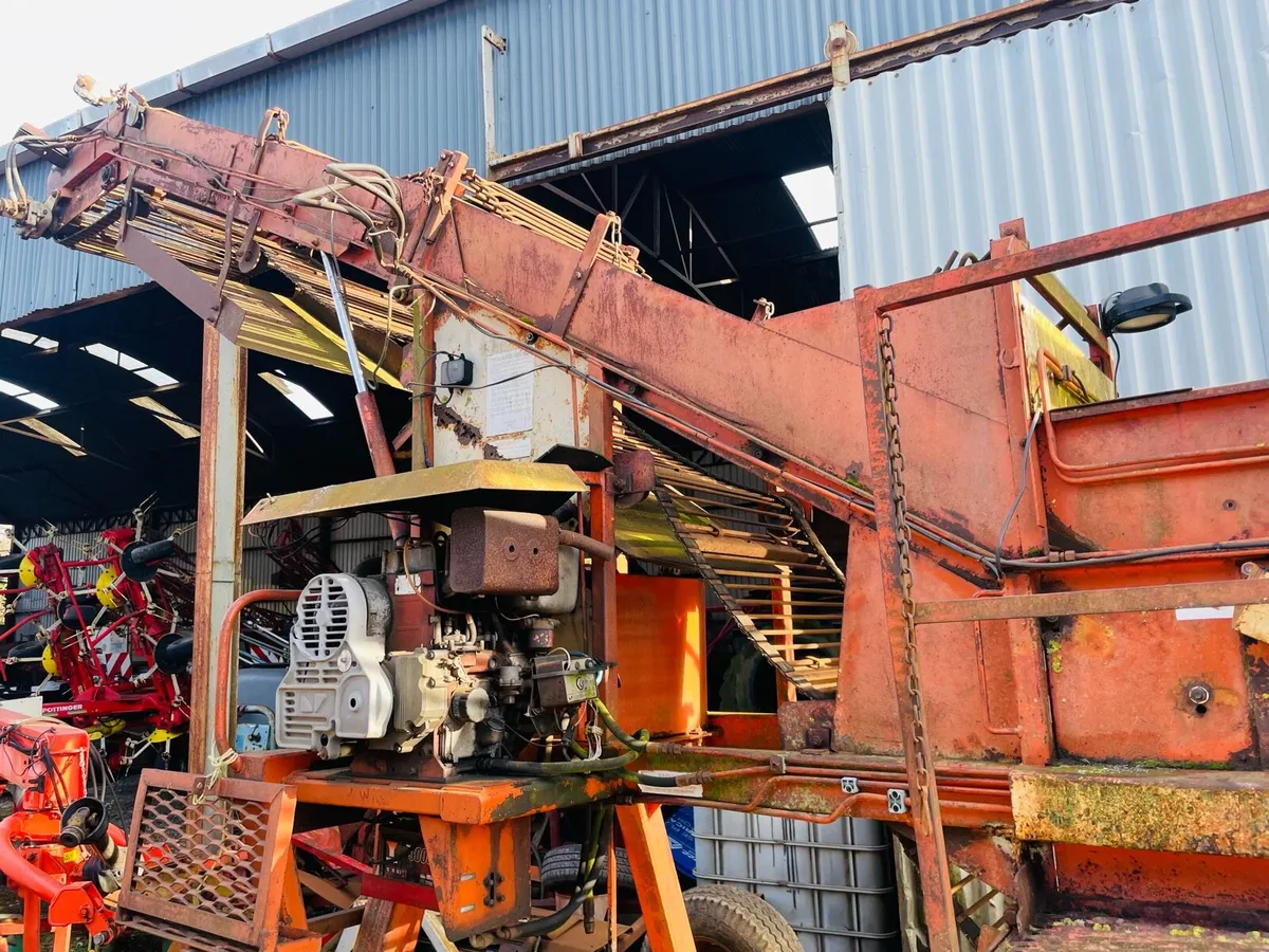 Beet cleaner loader - Image 4