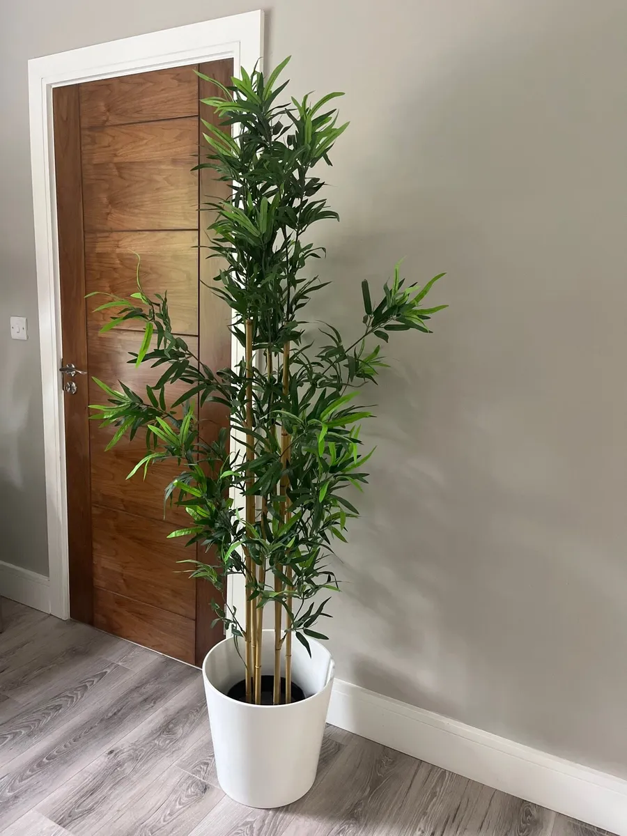 X2 Artificial Plant & Lanterns - Image 3