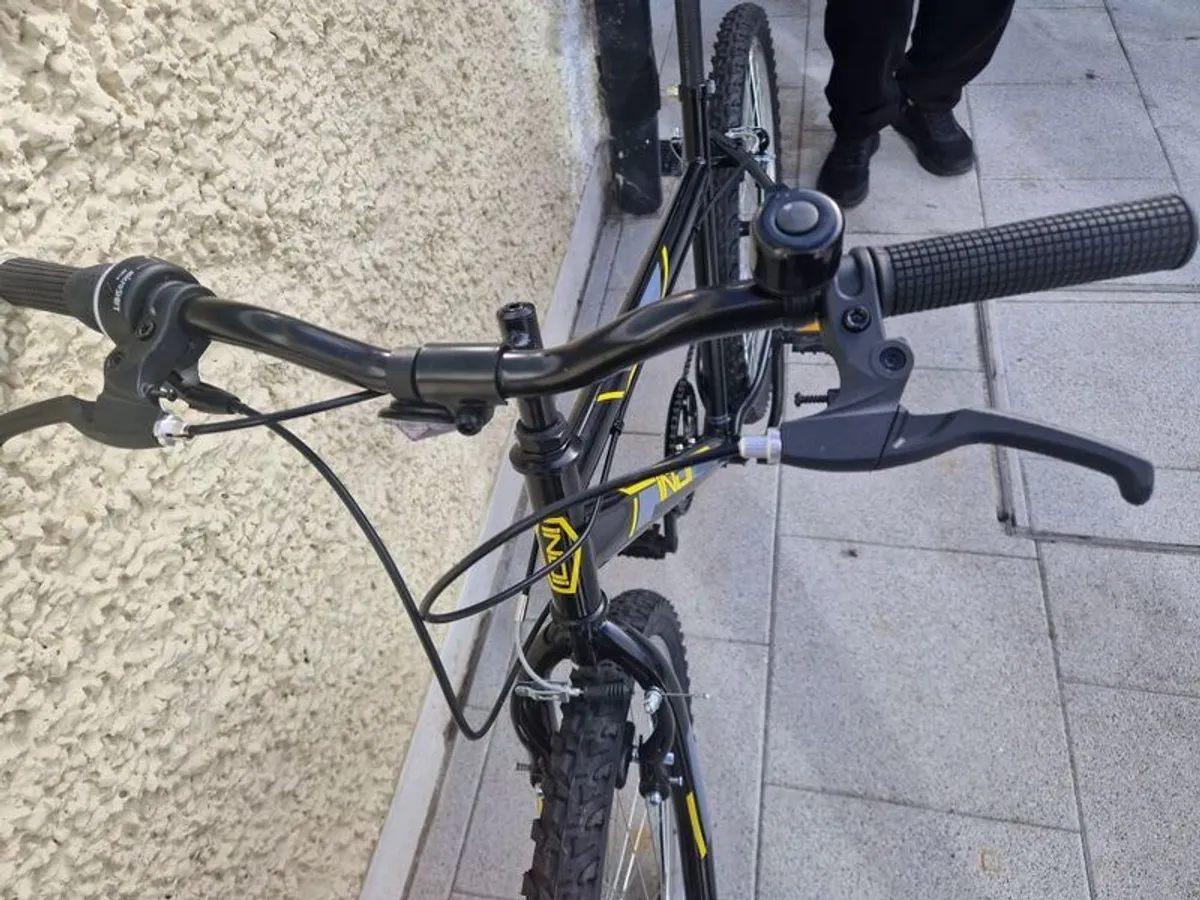 Lndi Mens Bicycle - Image 3