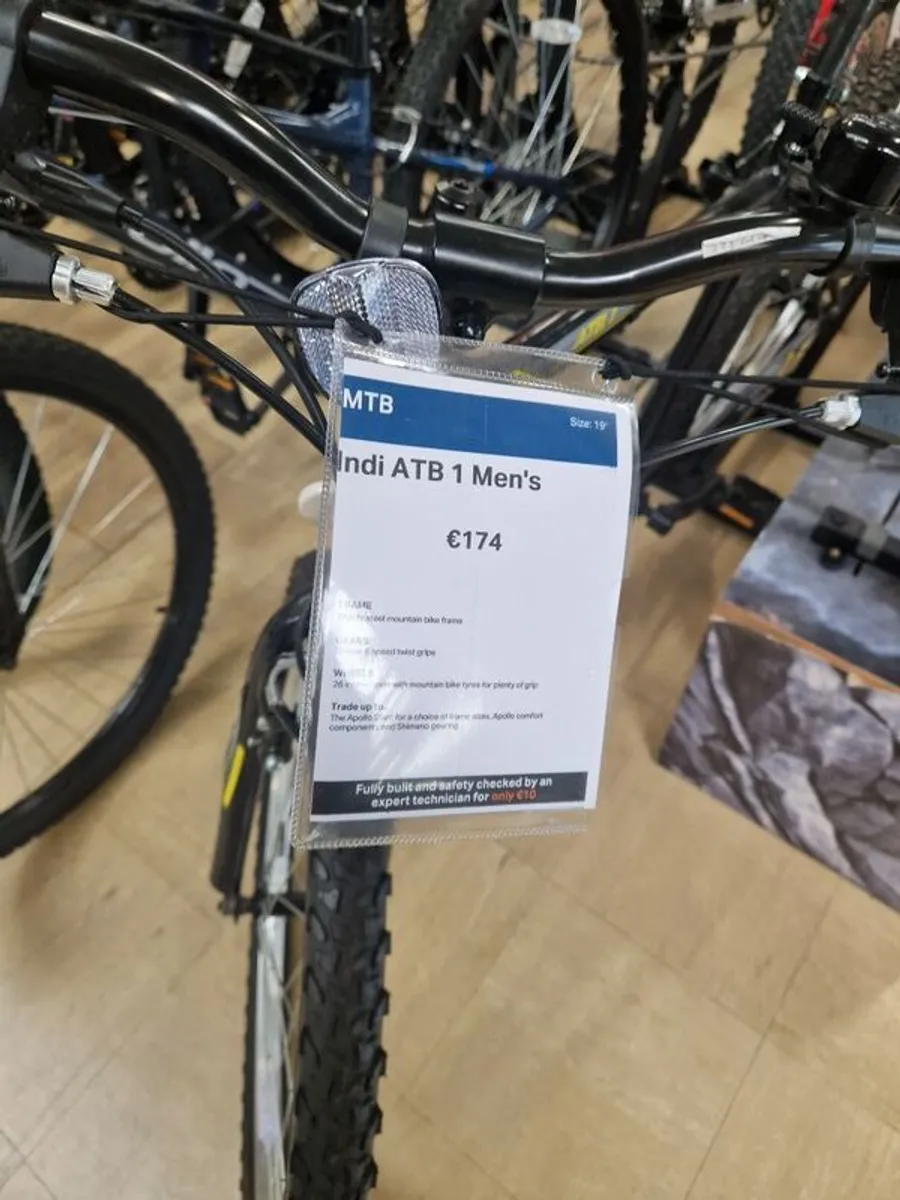 Lndi Mens Bicycle - Image 1