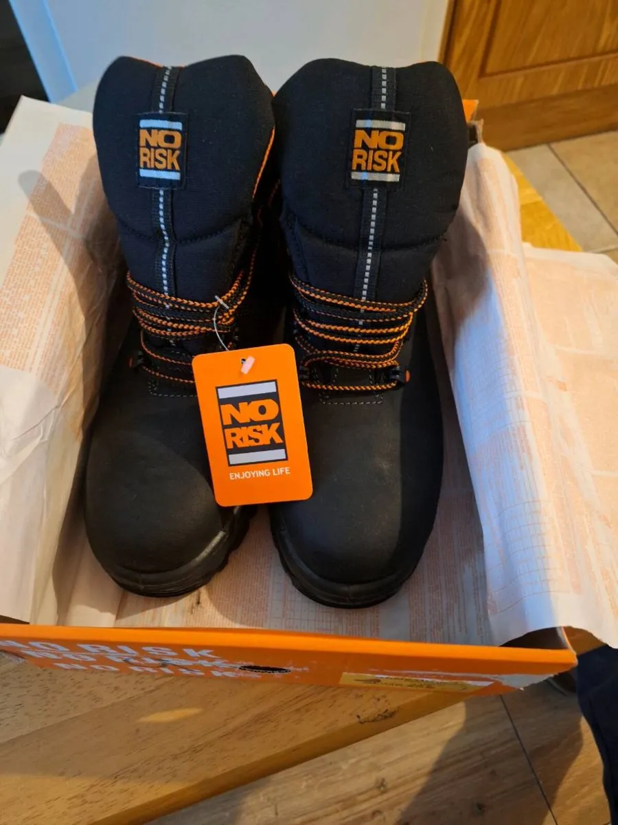 No Risk Amstrong Boot - Image 1