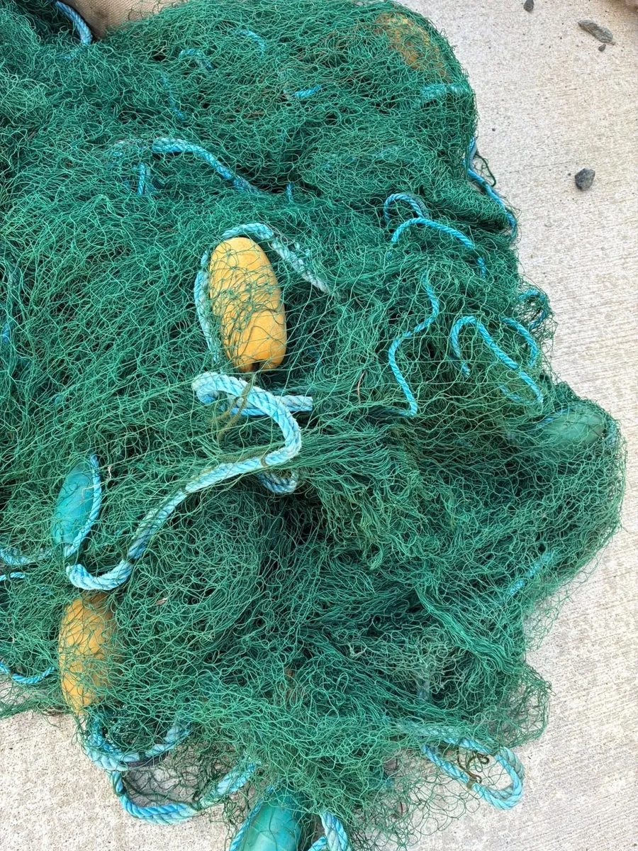 Deep Herring Nets - Image 1
