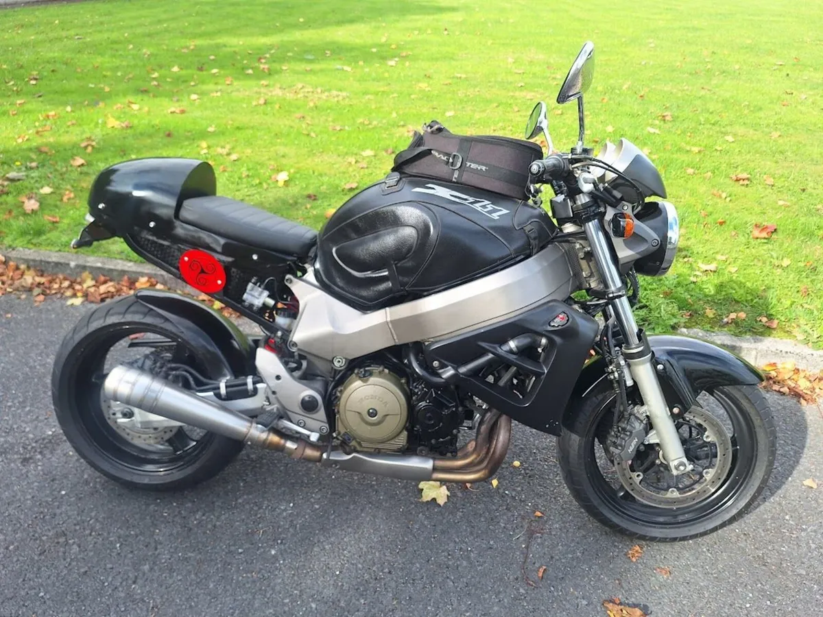 2001 Honda X11 - CBR1100SF - Image 2