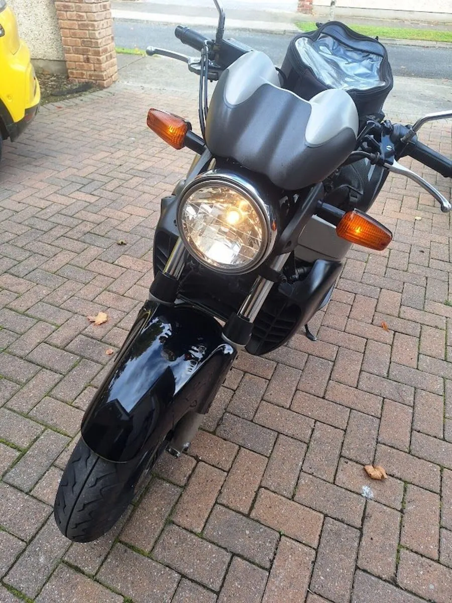 2001 Honda X11 - CBR1100SF - Image 4