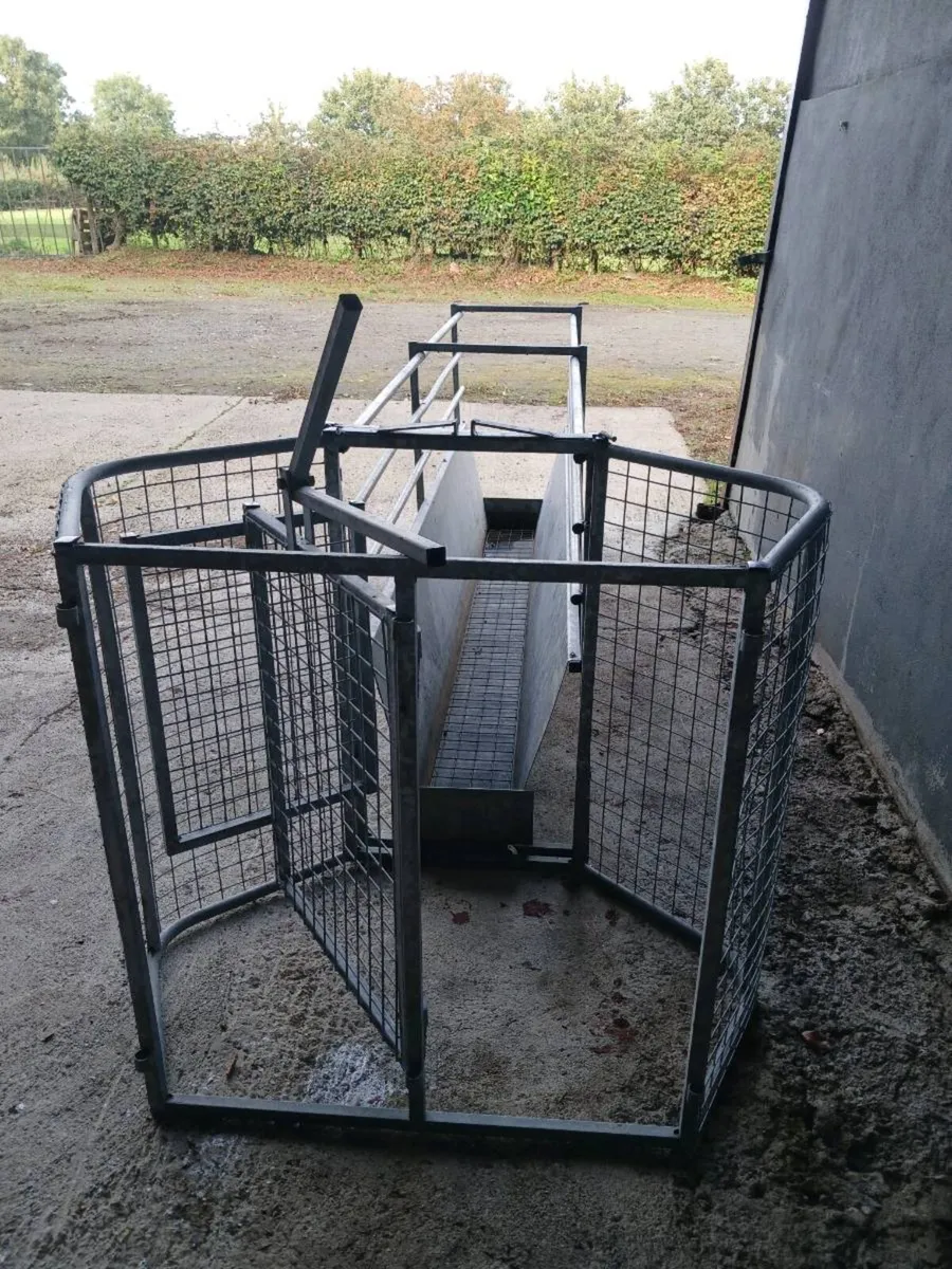 8 foot Galvanised Sheep Race/Foot Bath - Image 2