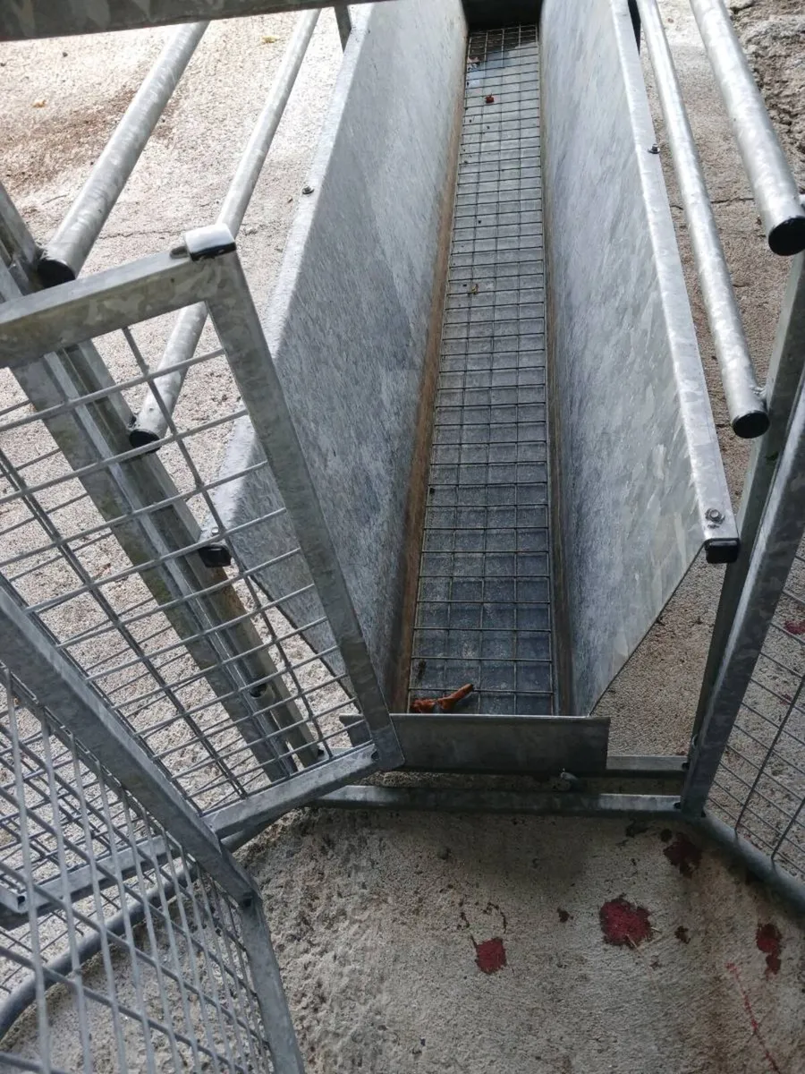 8 foot Galvanised Sheep Race/Foot Bath - Image 3
