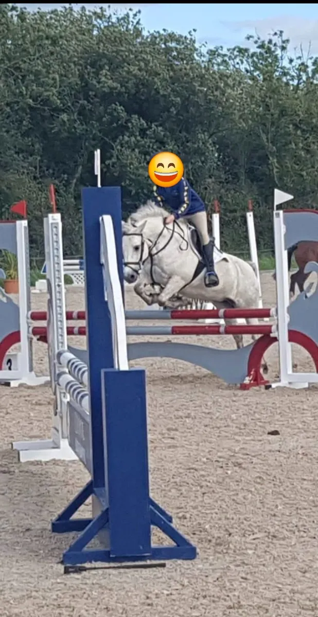 12.2 jumping pony - Image 2