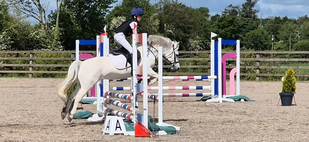 12.2 jumping pony - Image 4