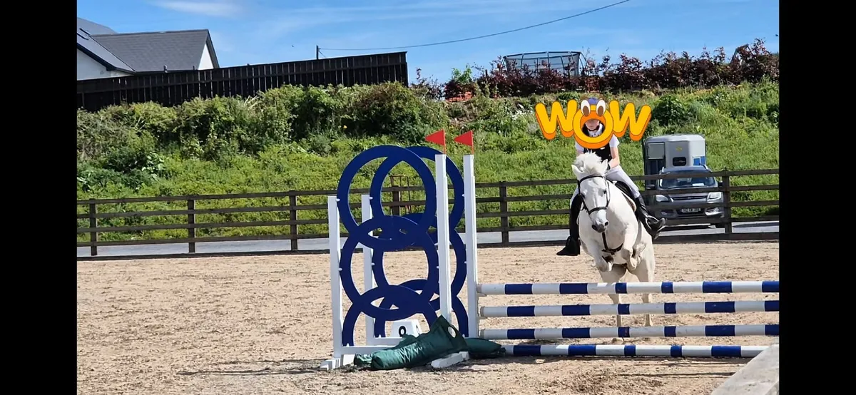 12.2 jumping pony - Image 3