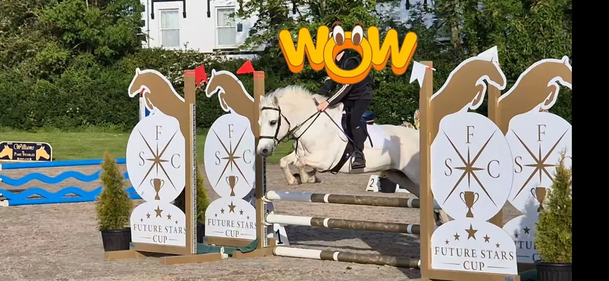 12.2 jumping pony - Image 1