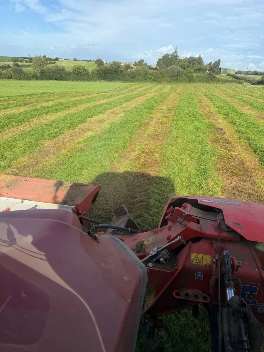 Silage - Image 2