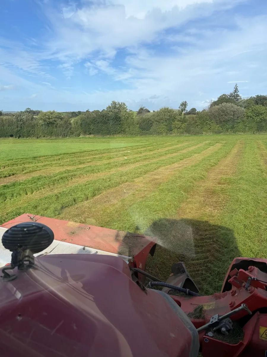 Silage - Image 4