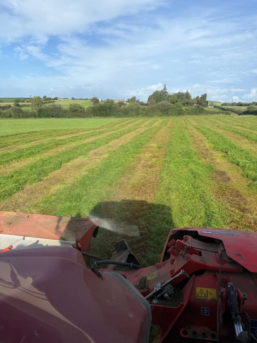Silage - Image 3