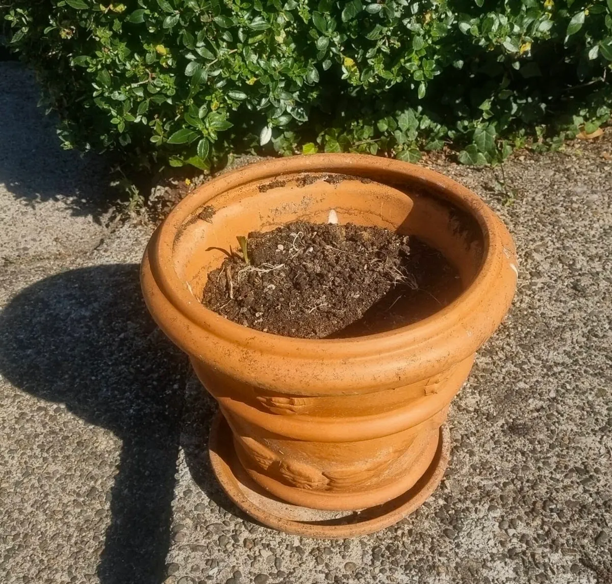 Vintage Terracotta Large Flower Pot - Image 3