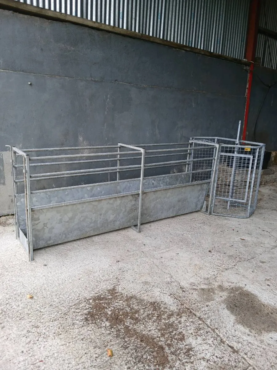 8 Foot Galvanised Sheep Race/Bath - Image 1