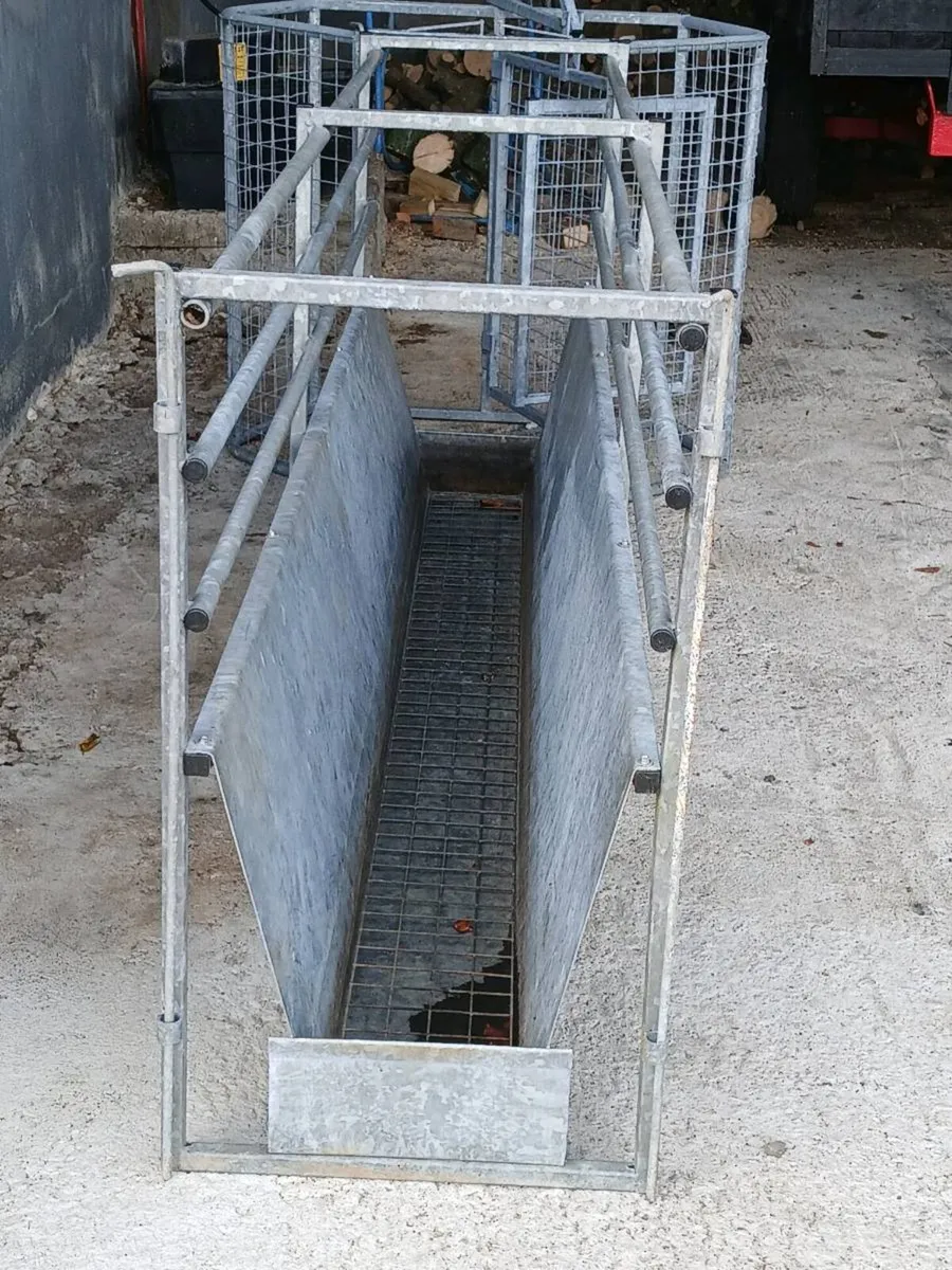 8 Foot Galvanised Sheep Race/Bath - Image 4