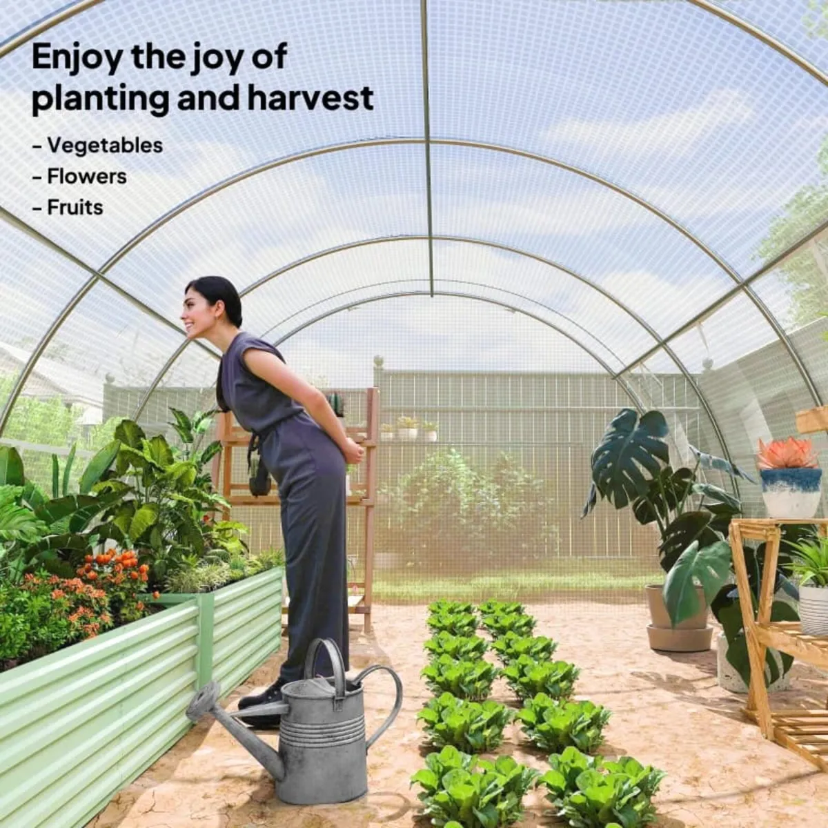 4 x 3 x 2 m Polytunnel Greenhouse w/ Roll-up Side - Image 3