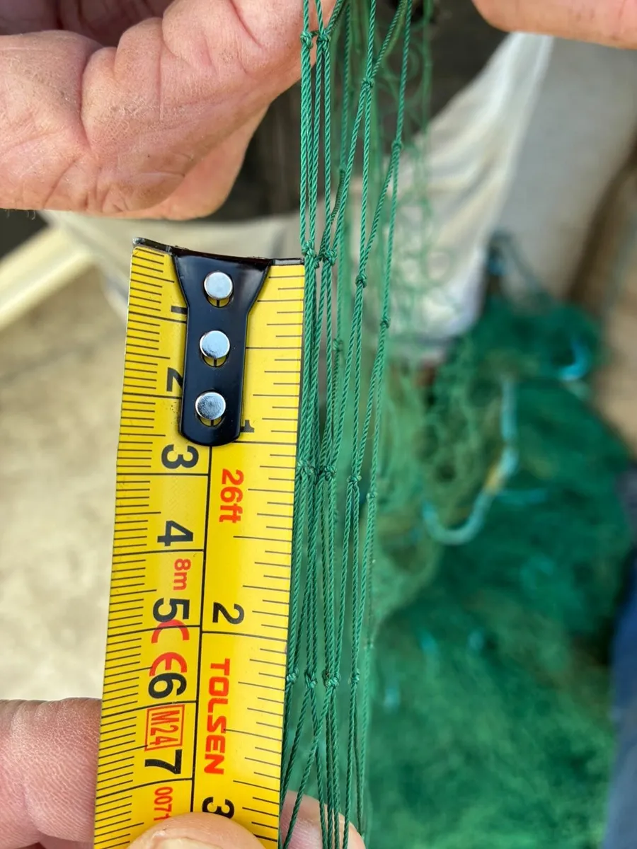 Deep Herring Nets - Image 2