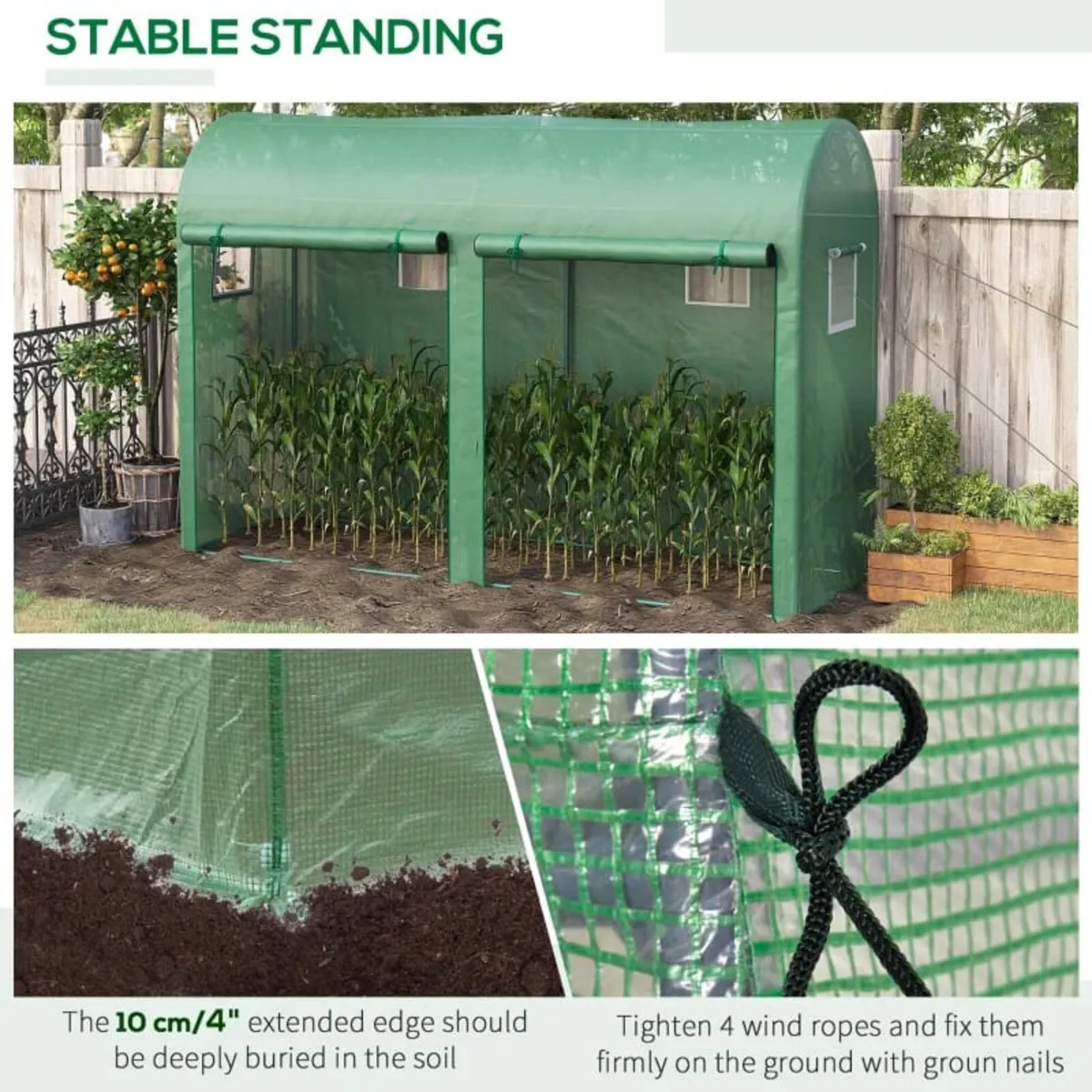 Garden Plant Tomato Growth Greenhouse with Double - Image 2