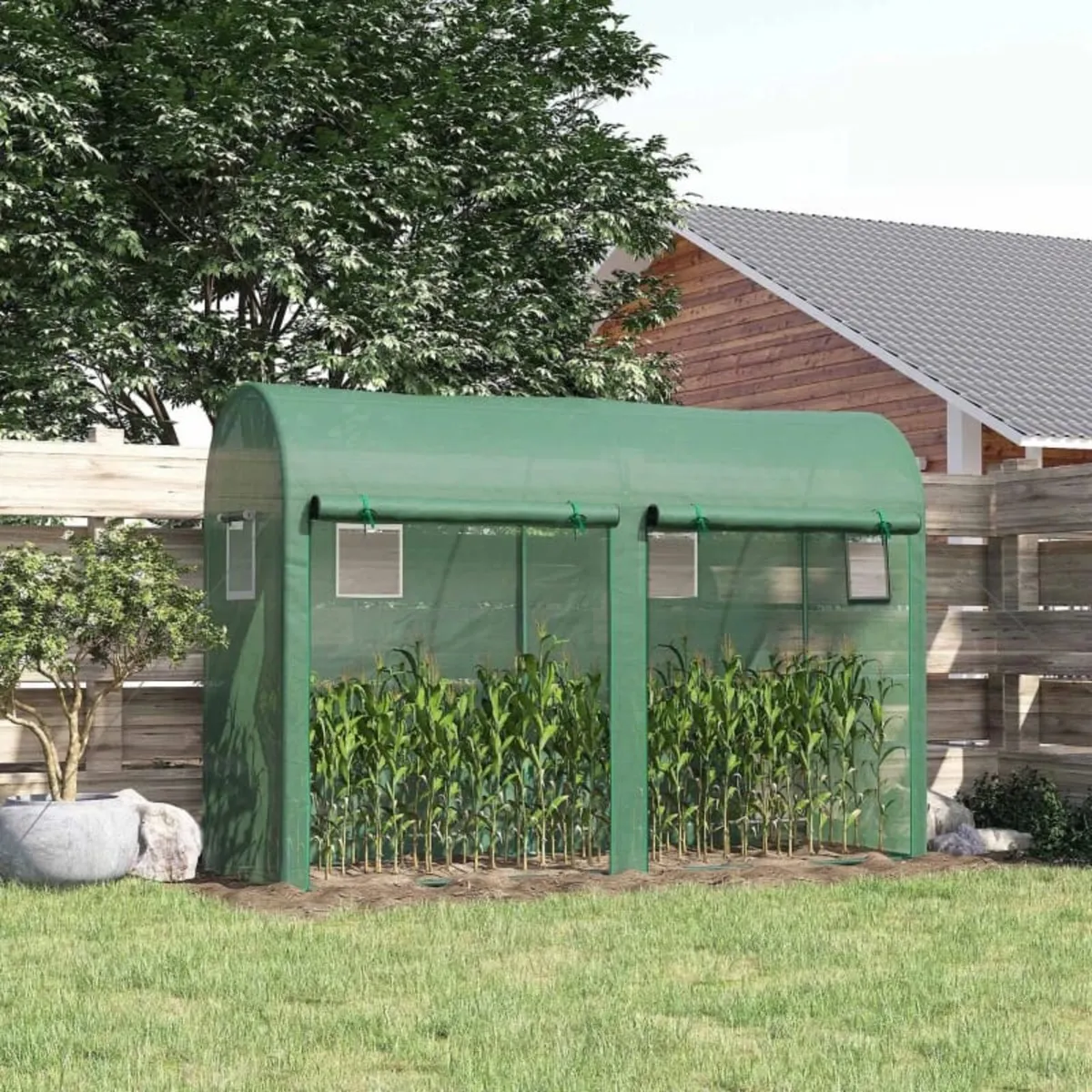 Garden Plant Tomato Growth Greenhouse with Double - Image 1