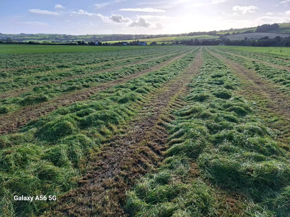 Silage Bales