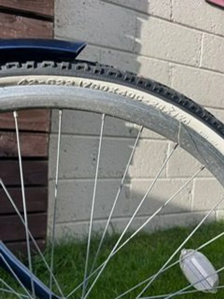 Ryedale Hayleigh bike - Image 2