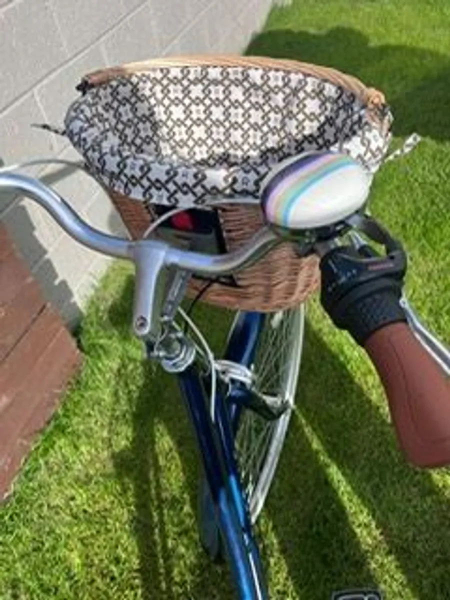 Ryedale Hayleigh bike - Image 4