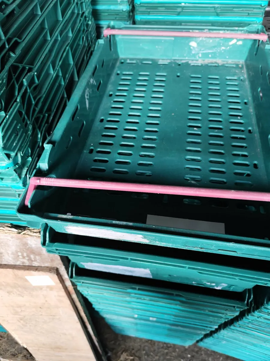 Plastic stacking crates - Image 2