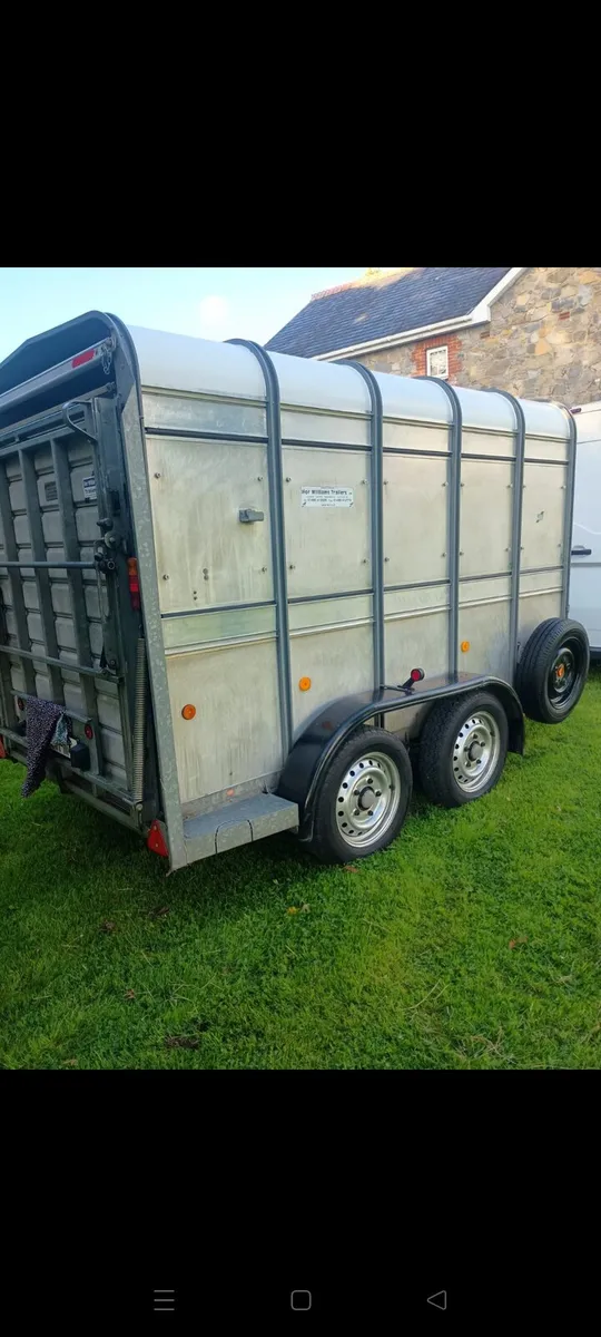 Ifor Williams sheep/cattle trailer - Image 3