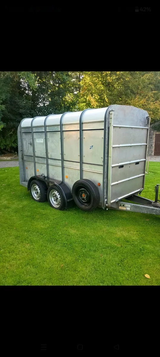 Ifor Williams sheep/cattle trailer - Image 1