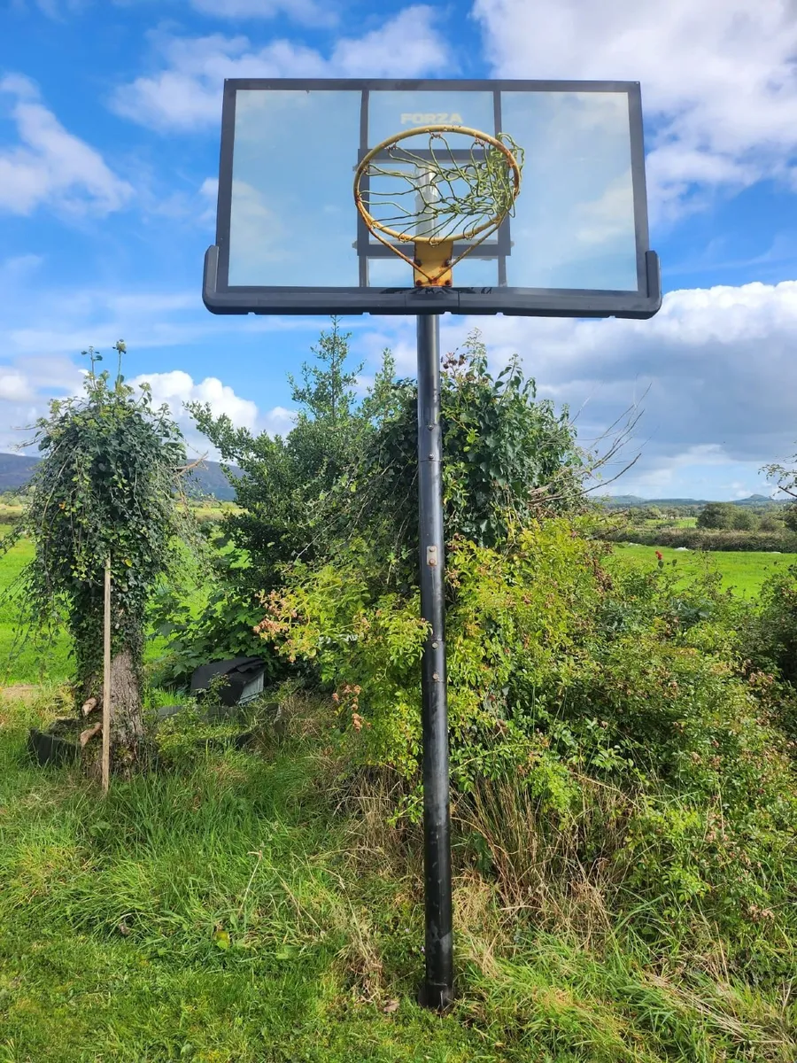 Forza Basketball Hoop - Image 1
