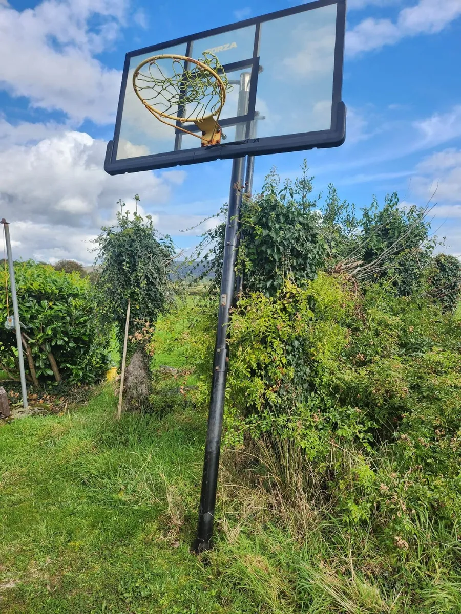 Forza Basketball Hoop - Image 2