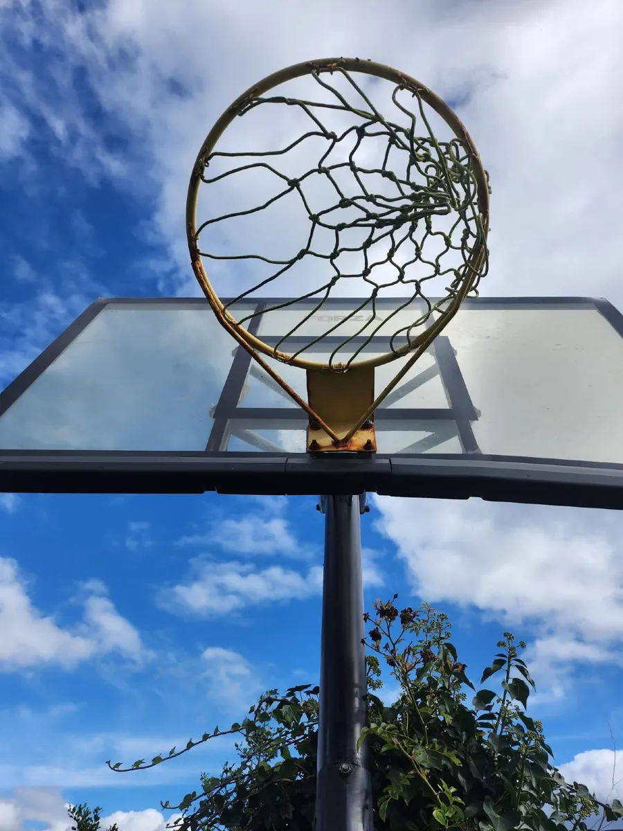 Forza Basketball Hoop - Image 4