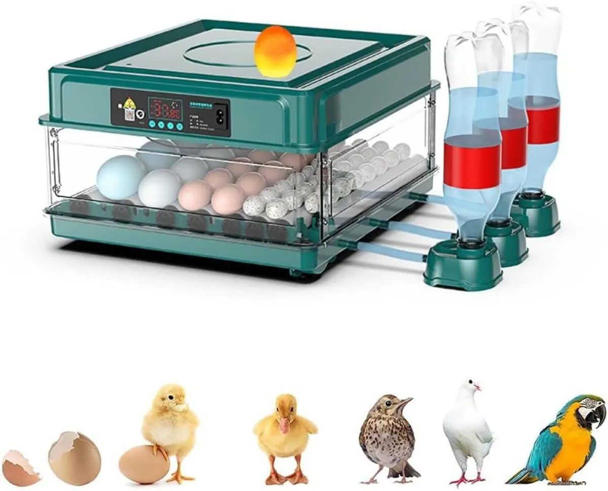 48 Egg Automatic Incubator with Water Refill - Image 1