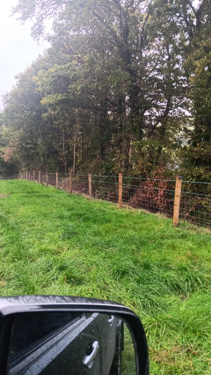 Fencing - Image 2